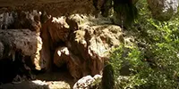 Reimer's Ranch