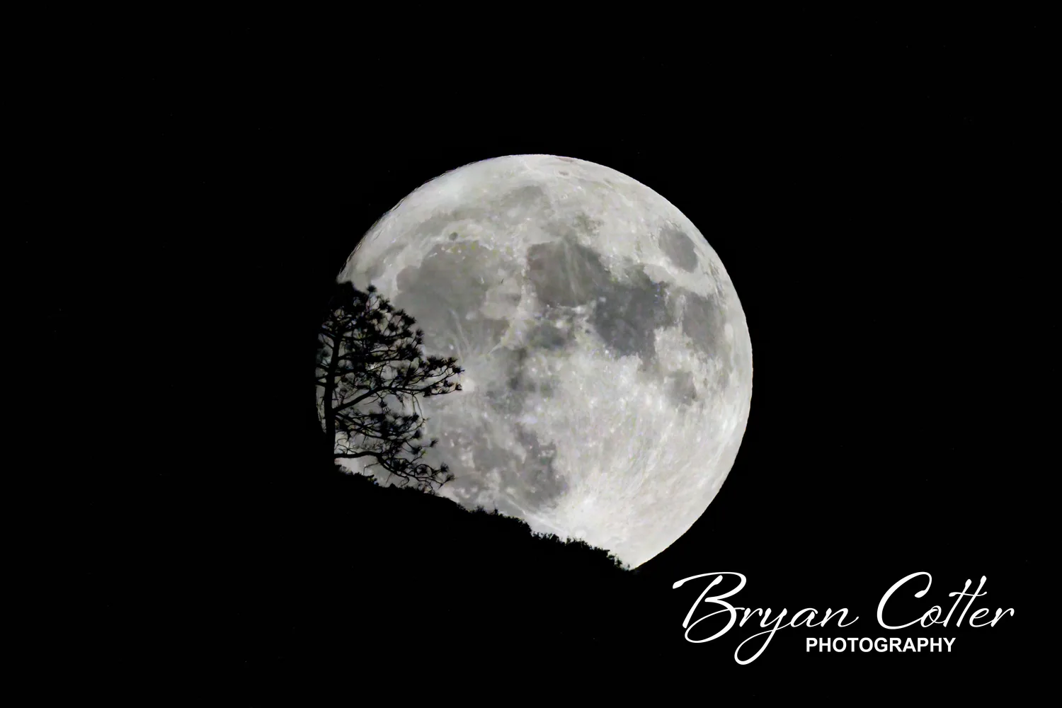 Full Moon