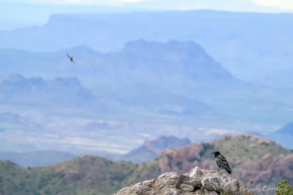 Chisos Mountains photographed in Texas by Bryan Cotter