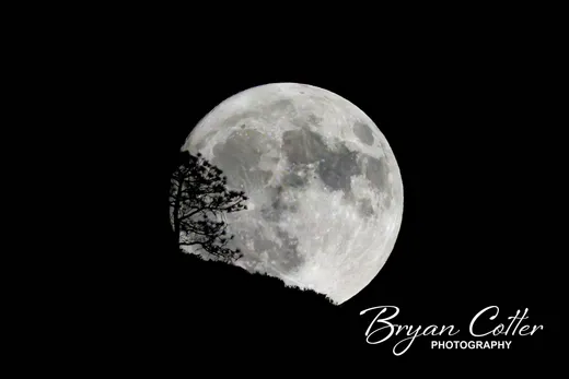 Full Moon