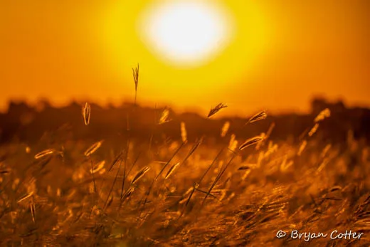 Sunset photographed in Texas by Bryan Cotter